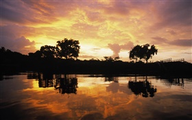 Coucher de soleil sur la forêt, lac, Guyana