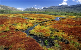 Swamp, montagnes, herbe, nature paysages HD Fonds d'écran