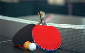 Ping-pong et raquette