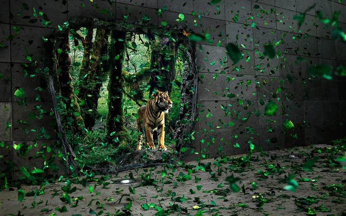 Tiger dans la forêt, les feuilles vertes de vol, des images créatives Fonds d'écran, image