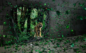 Tiger dans la forêt, les feuilles vertes de vol, des images créatives HD Fonds d'écran