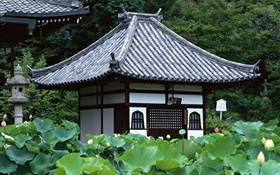 Tokyo, Japon, jardin, temple, étang de lotus HD Fonds d'écran
