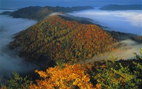 Vue de dessus paysage, montagnes, brouillard, l'aube HD Fonds d'écran