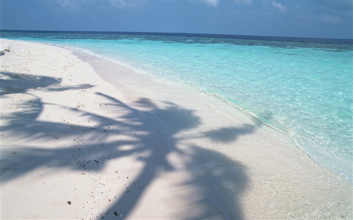 ombre des arbres, Maldives, plage, mer, vagues Fonds d'écran, image