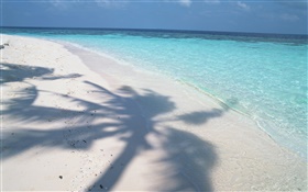 ombre des arbres, Maldives, plage, mer, vagues HD Fonds d'écran