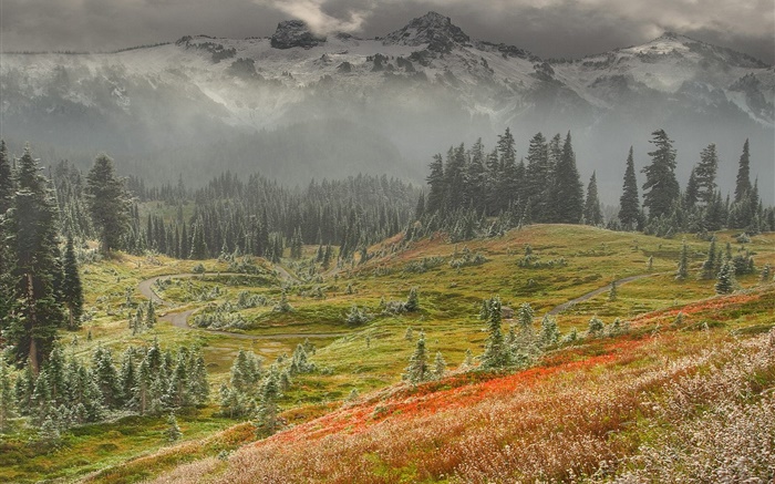 Arbres, herbe, montagnes, crépuscule Fonds d'écran, image