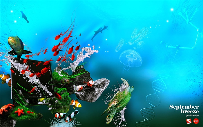 Sous l'eau, la mer, les poissons, le moniteur, l'ADN, le design créatif Fonds d'écran, image
