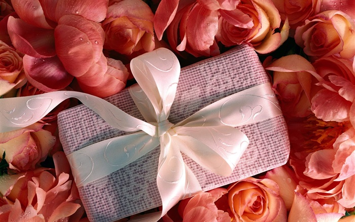 cadeau Saint Valentin, fleurs rose Fonds d'écran, image