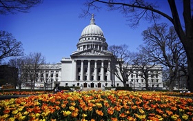Washington, Madison, Etats-Unis, bâtiment, parc, fleurs HD Fonds d'écran