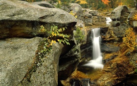 Cascade, rochers, automne HD Fonds d'écran