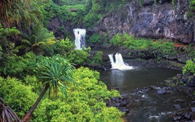 Cascades, crique, eau, roches, plantes, Hawaii, États-Unis HD Fonds d'écran