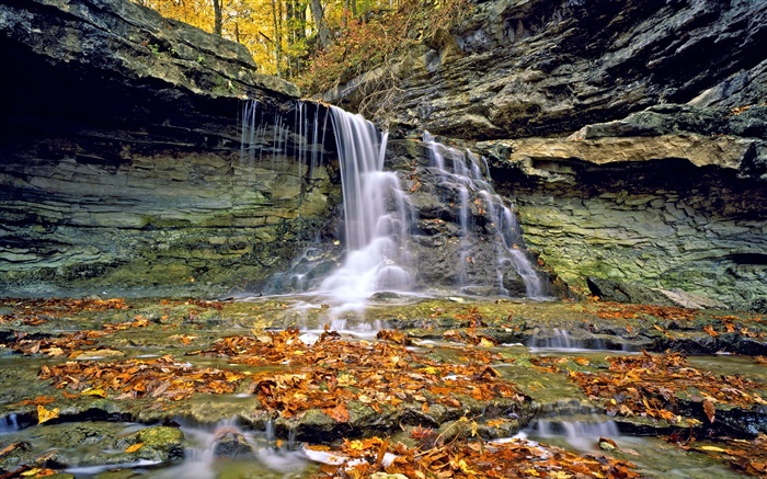 Cascades, roches, feuilles rouges, automne Fonds d'écran, image