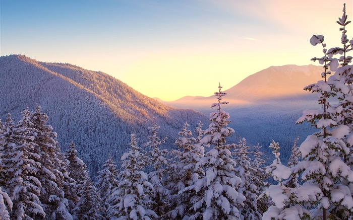 Hiver, montagnes, neige, arbres, coucher de soleil Fonds d'écran, image