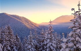 Hiver, montagnes, neige, arbres, coucher de soleil HD Fonds d'écran