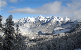 Hiver, montagnes, arbres, neige, nature paysage HD Fonds d'écran