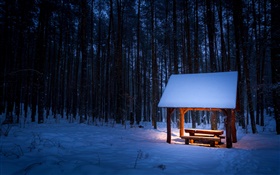 Hiver, arbres, pavillon, neige, nuit, lumière HD Fonds d'écran