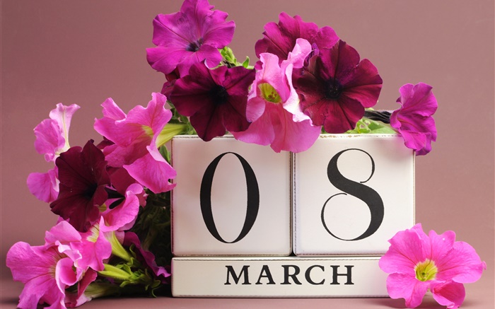 8 Mars Journée de la femme, des fleurs de pétunias roses, la date Fonds d'écran, image