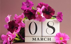 8 Mars Journée de la femme, des fleurs de pétunias roses, la date