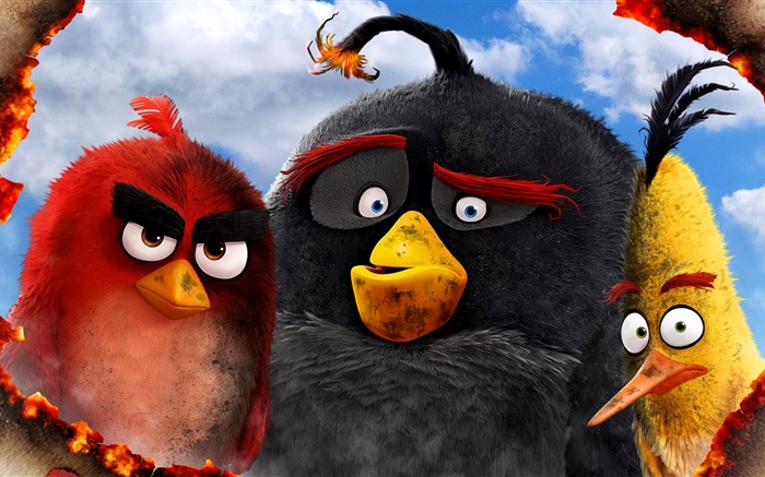 Angry Birds film 2016 Fonds d'écran, image