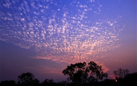 Magnifique coucher de soleil, ciel, nuages, arbres silhouette HD Fonds d'écran