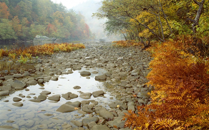Big South Fork River, Tennessee, États-Unis Fonds d'écran, image