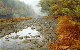 Big South Fork River, Tennessee, États-Unis HD Fonds d'écran