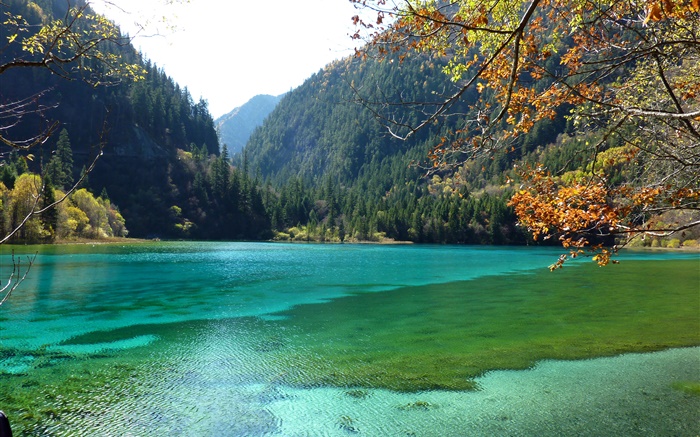 Chine, Parc national de Jiuzhaigou, le lac, les montagnes, les arbres Fonds d'écran, image