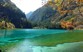 Chine, Parc national de Jiuzhaigou, le lac, les montagnes, les arbres HD Fonds d'écran