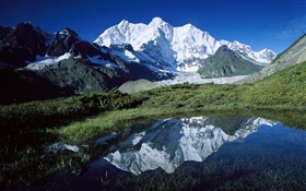 Chomo Lonzo, montagnes, herbe, étang, glaciers, Tibet