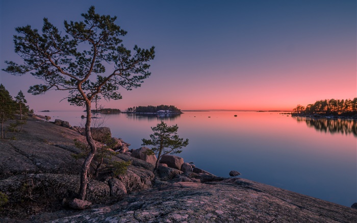 Finlande, Baie finlandaise, mer, île, coucher de soleil, les arbres, les pierres Fonds d'écran, image