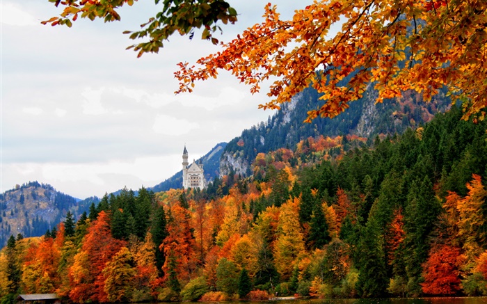 Allemagne, Bavière, château Schwangau, arbres, rivière, automne Fonds d'écran, image