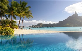 Lagoon, station, palmiers, plage, piscine, tropical HD Fonds d'écran