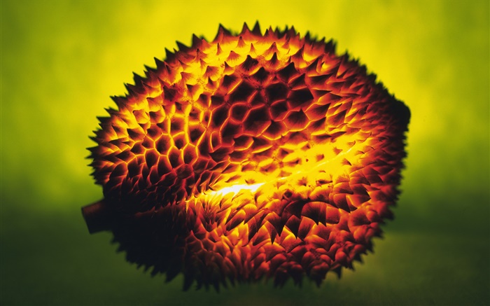 fruit Lumière, durian Fonds d'écran, image