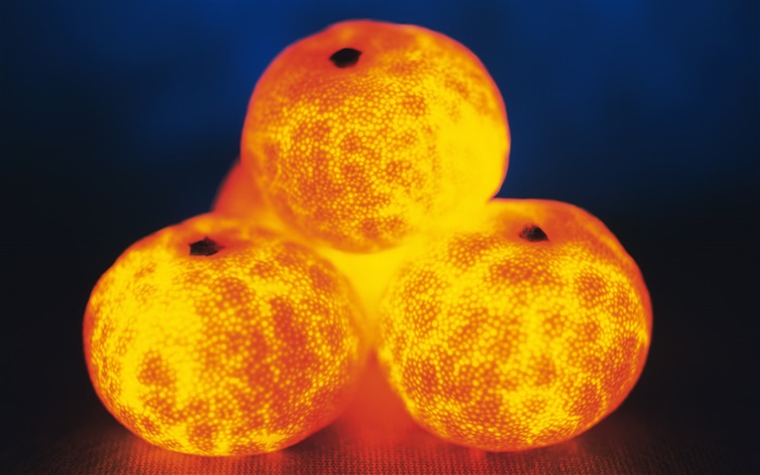 fruit Lumière, quatre oranges Fonds d'écran, image