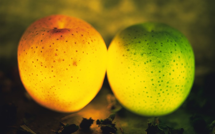fruit Lumière, pommes vertes et orange Fonds d'écran, image