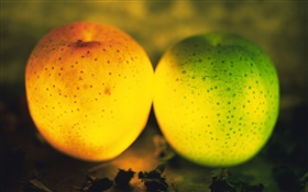 fruit Lumière, pommes vertes et orange