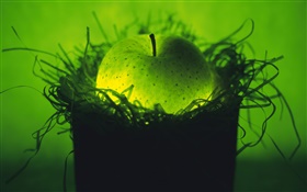 fruit Lumière, pomme verte dans le nid