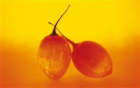 fruits Lumière, deux tomates en arbre HD Fonds d'écran