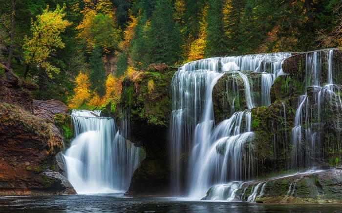 Abaisser Lewis River Falls, Washington, États-Unis, des chutes d'eau, automne, arbres Fonds d'écran, image