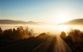 Matin, lever de soleil, le brouillard, la route, les arbres, les rayons du soleil HD Fonds d'écran