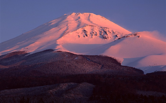 Mont Fuji, Japon, neige, crépuscule, forêt Fonds d'écran, image