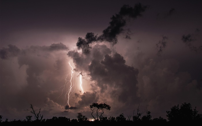 Nuit, nuages, tempête, foudre, arbres, silhouette Fonds d'écran, image