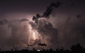 Nuit, nuages, tempête, foudre, arbres, silhouette HD Fonds d'écran