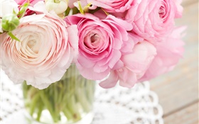 renoncules roses, bouquet, fleurs