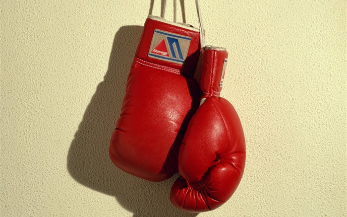 gants de boxe rouge, sports Fonds d'écran, image