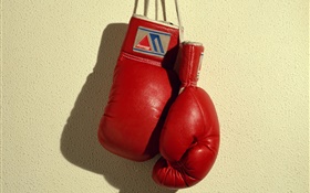 gants de boxe rouge, sports