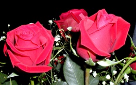 Rose rouge fleurs, bouquet HD Fonds d'écran