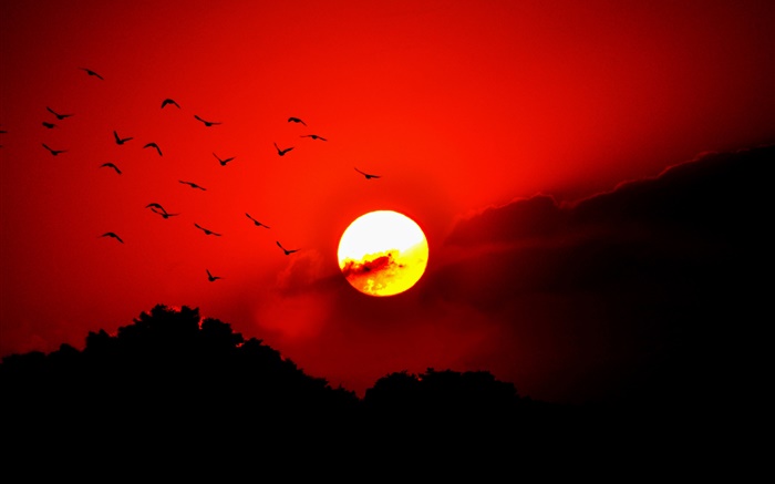 Ciel rouge, nuages, coucher de soleil, lueur, oiseaux, silhouette Fonds d'écran, image