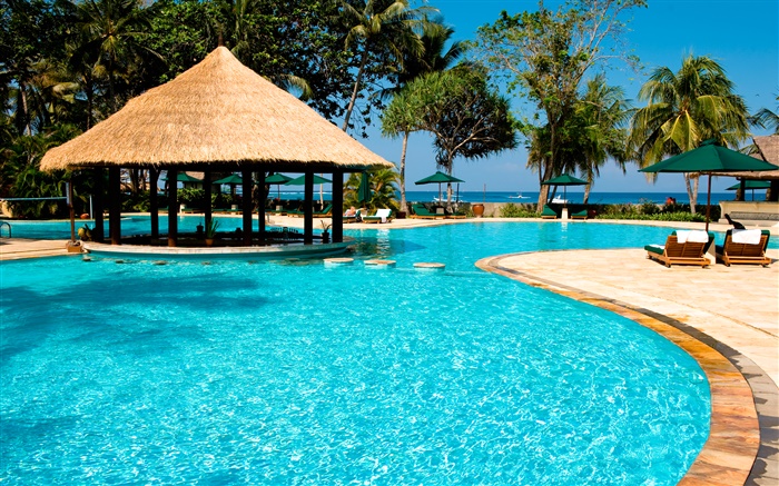 Resort, palmiers, piscine, maison, exotique Fonds d'écran, image