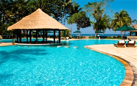 Resort, palmiers, piscine, maison, exotique